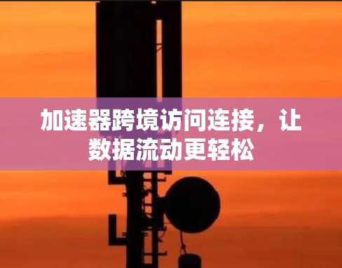 加速器跨境访问连接，让数据流动更轻松