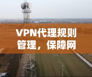 VPN代理规则管理，保障网络安全的又一重要环节