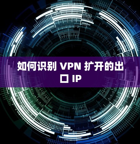 如何识别 VPN 扩开的出口 IP