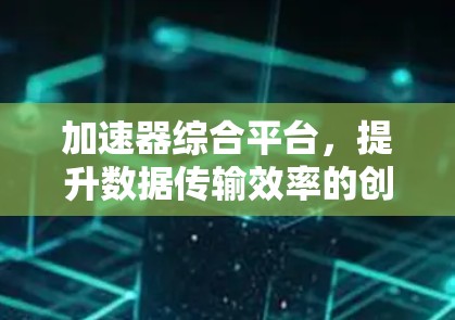 加速器综合平台，提升数据传输效率的创新解决方案