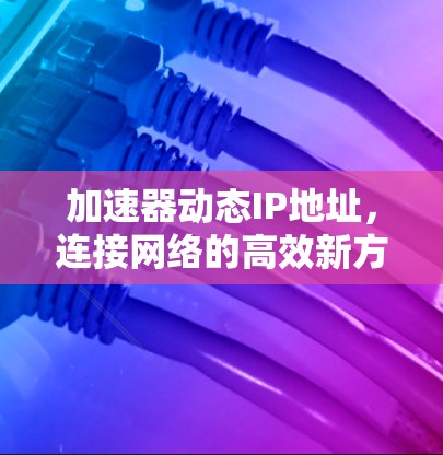 加速器动态IP地址，连接网络的高效新方式