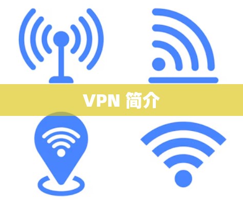 VPN 简介