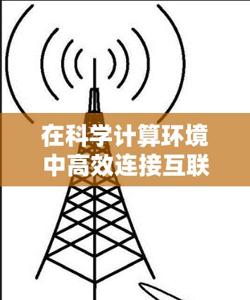 在科学计算环境中高效连接互联网的方法可以包括以下几个步骤