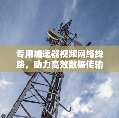 专用加速器视频网络线路，助力高效数据传输，智享未来生活