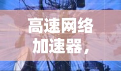 高速网络加速器，突破视频传输的新标准