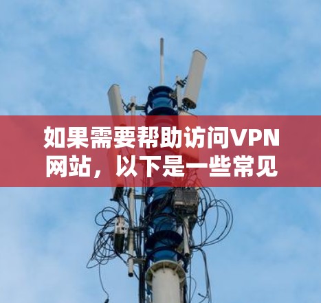 如果需要帮助访问VPN网站，以下是一些常见的步骤和方法