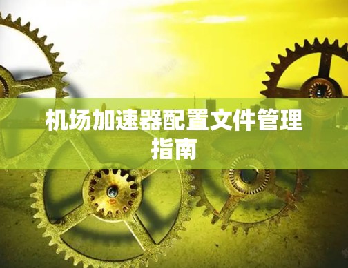 机场加速器配置文件管理指南