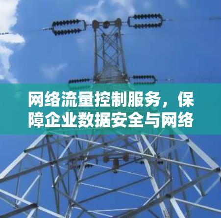 网络流量控制服务，保障企业数据安全与网络稳定的新标准