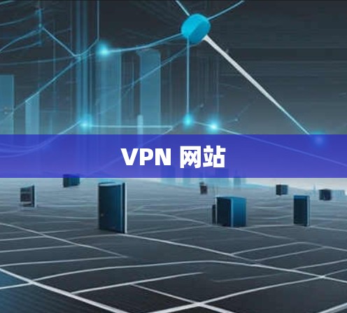 VPN 网站