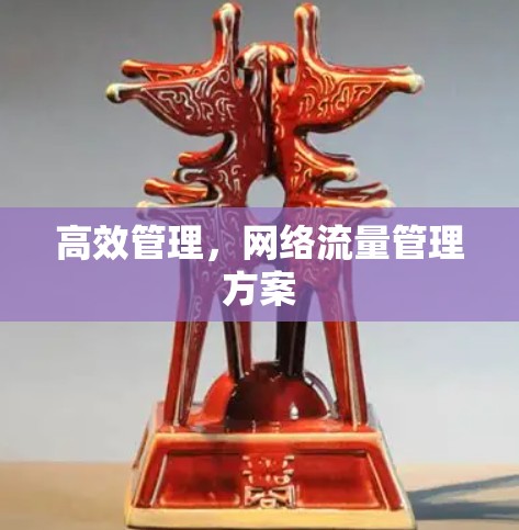 高效管理，网络流量管理方案