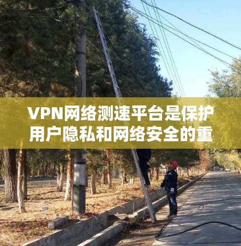 VPN网络测速平台是保护用户隐私和网络安全的重要工具。以下是对该主题的详细总结和建议