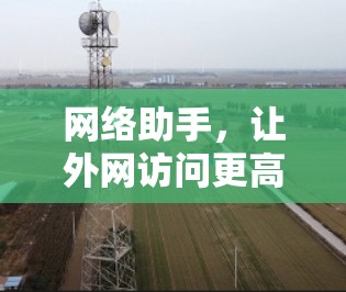 网络助手，让外网访问更高效