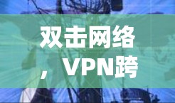 双击网络，VPN跨平台便捷安全下载