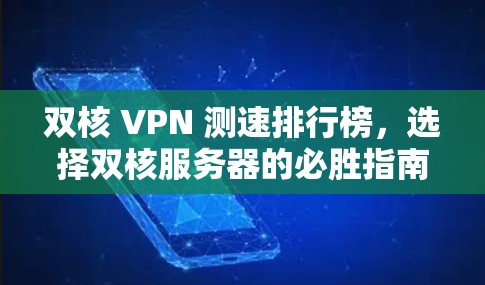 双核 VPN 测速排行榜，选择双核服务器的必胜指南