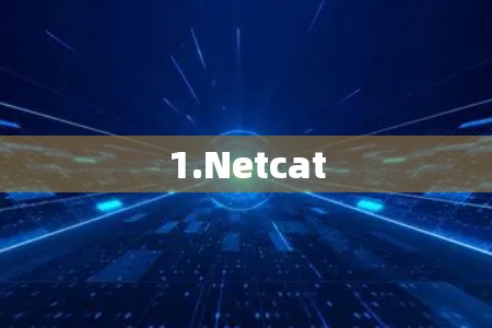 1.Netcat