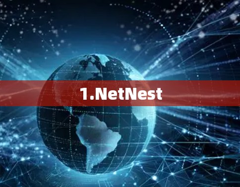 1.NetNest