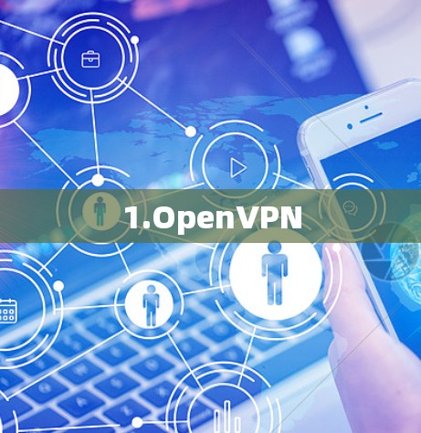 1.OpenVPN