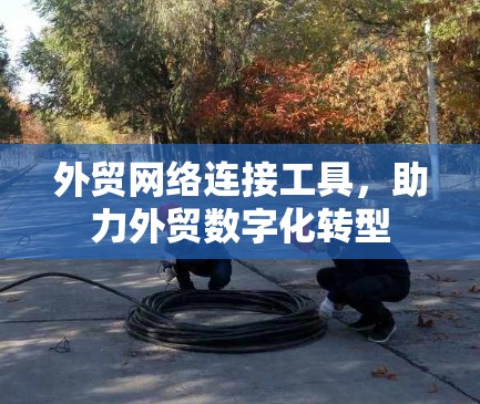 外贸网络连接工具，助力外贸数字化转型