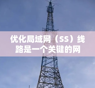 优化局域网（SS）线路是一个关键的网络优化步骤，尤其是在需要高性能或高可靠性的网络环境中。以下是一些优化 SS 线路的技巧，涵盖从基础到高级的优化步骤
