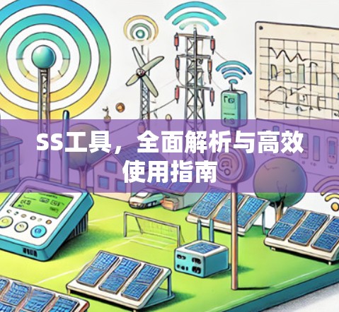 SS工具，全面解析与高效使用指南