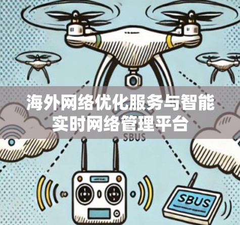 海外网络优化服务与智能实时网络管理平台