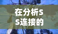 在分析SS连接的速度时，可以采取以下步骤
