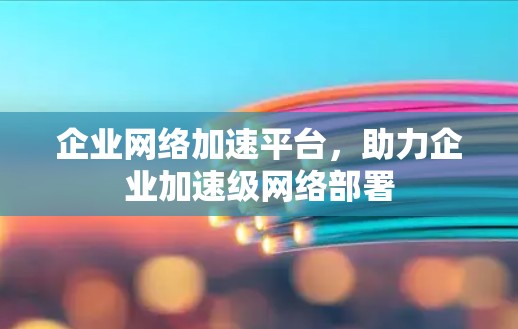 企业网络加速平台，助力企业加速级网络部署
