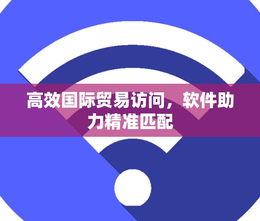 高效国际贸易访问，软件助力精准匹配