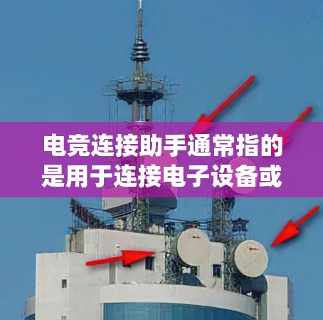 电竞连接助手通常指的是用于连接电子设备或软件来参与电竞比赛的设备或软件。它可以帮助选手实时连接到游戏平台、比赛系统或比赛设备，进行实时连线、数据采集、比赛节奏控制等操作。这类助手通常包括但不限于