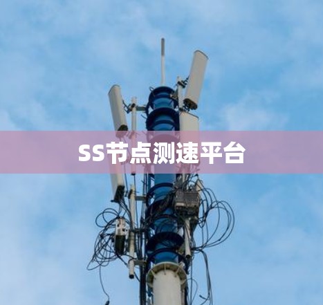 SS节点测速平台