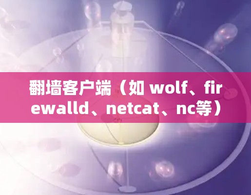 翻墙客户端（如 wolf、firewalld、netcat、nc等）的设置主要涉及协议类型、端口设置、防火墙配置以及防火墙的配置。以下是详细的设置步骤，适用于常见协议