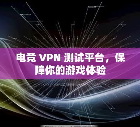 电竞 VPN 测试平台，保障你的游戏体验