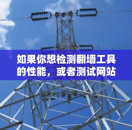 如果你想检测翻墙工具的性能，或者测试网站的访问速度，以下是一些通用的建议和步骤，以帮助你完成任务