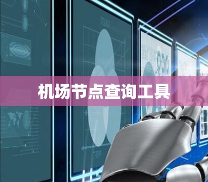 机场节点查询工具