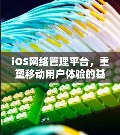 iOS网络管理平台，重塑移动用户体验的基石