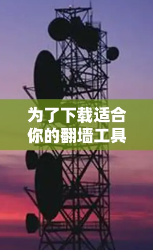 为了下载适合你的翻墙工具，以下是一步步的建议