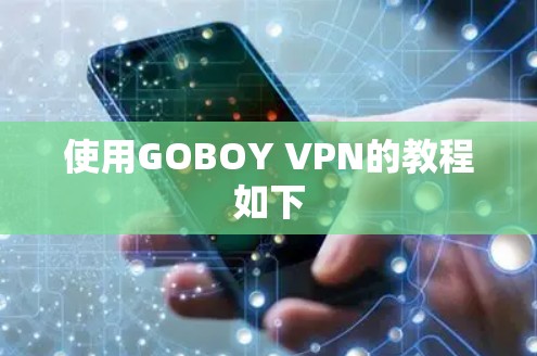 使用GOBOY VPN的教程如下