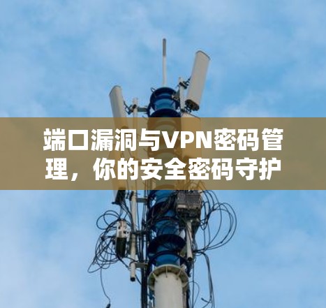 端口漏洞与VPN密码管理，你的安全密码守护者