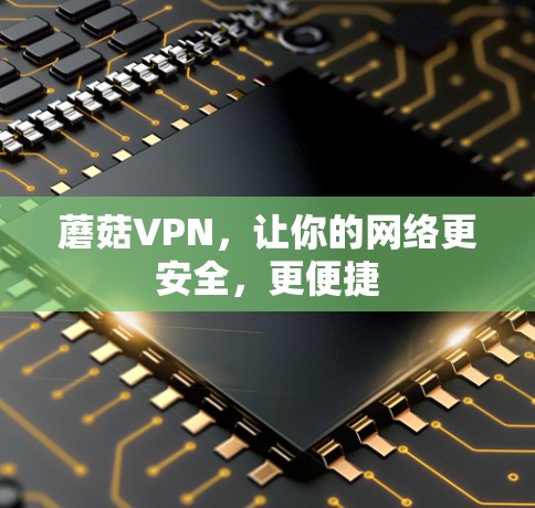 蘑菇VPN，让你的网络更安全，更便捷