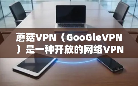 蘑菇VPN（GooGleVPN）是一种开放的网络VPN服务，通常使用WTFast或WTFast+协议。为了测试蘑菇VPN的速度，以下是详细的步骤和注意事项