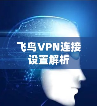 飞鸟VPN连接设置解析