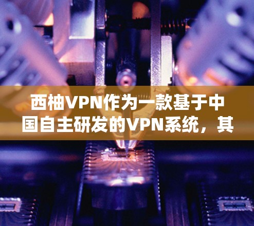 西柚VPN作为一款基于中国自主研发的VPN系统，其性能表现取决于多种因素，包括服务器配置、加密算法、网络连接等。为了全面评估其性能，我们需要参考官方或第三方的性能测试报告