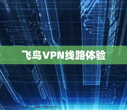 飞鸟VPN线路体验