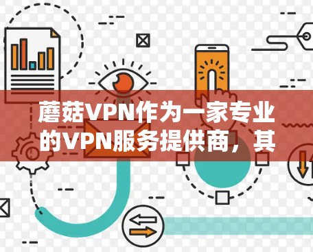 蘑菇VPN作为一家专业的VPN服务提供商，其功能全面，涵盖了加密通信、VPN服务、数据安全等多个方面。以下是对蘑菇VPN功能的详细分析