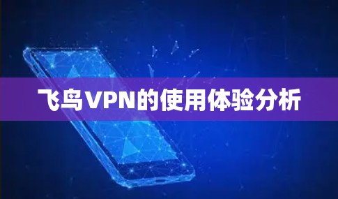 飞鸟VPN的使用体验分析