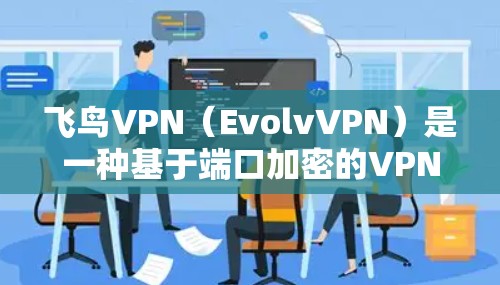 飞鸟VPN（EvolvVPN）是一种基于端口加密的VPN软件，以其先进的功能和强大的安全性著称。以下是其功能分析的详细内容