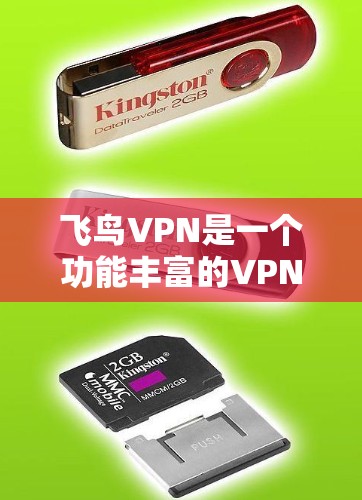 飞鸟VPN是一个功能丰富的VPN服务，涵盖了加密、多因素认证、账户管理等多个功能模块。然而，用户在实际使用过程中可能会遇到一些常见问题，以下是详细的解决方案