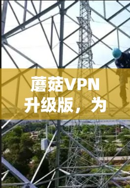 蘑菇VPN升级版，为您的网络打造更稳定、更安全的网络服务