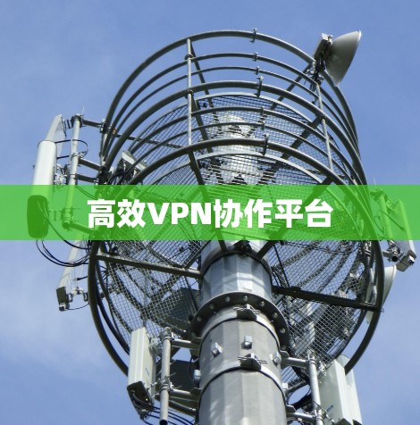 高效VPN协作平台