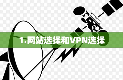 1.网站选择和VPN选择
